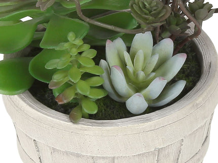 Artificial Succulent, Table Decor (Set of 2) - Green / Beige