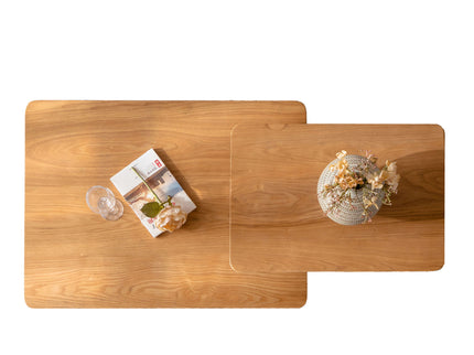 Square Coffee Table Set (Set of 2)