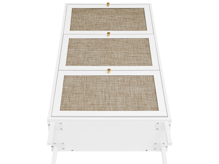 Modern Rattan 3 Door Shoe Rack Cabinet For Entryway