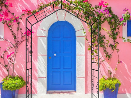 Garden Arch, Climbing Plants Support Outdoor - Black