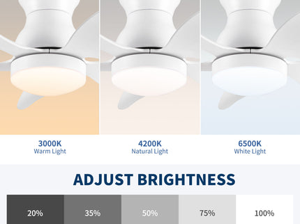 Low Profile Flush Mount Ceiling Fan With Light