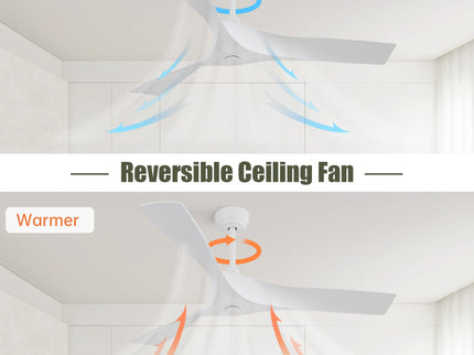 52" Ceiling Fan With Remote Control, Quiet Reversible DC Motor, For Indoor Outdoor Use - White
