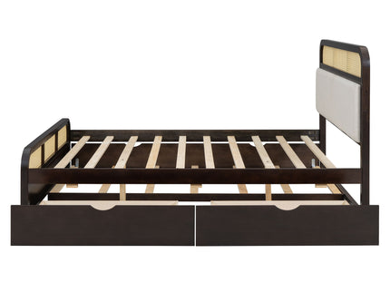 Platform Bed With Trundle And 2 Drawers