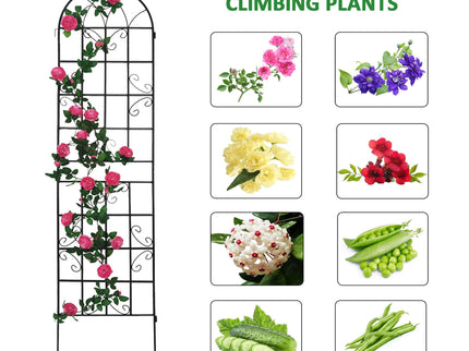 Metal Garden Rustproof Trellis For Climbing Plants Outdoor Flower Support