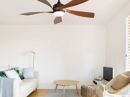 Ceiling Fan & DC Motor And Integrated Light