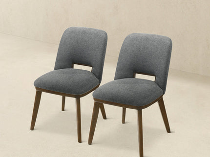 Blake - Modern Dining Chair (Set of 2)