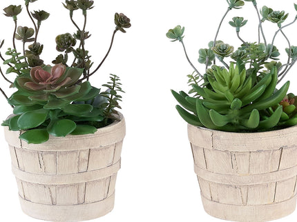 Artificial Succulent, Table Decor (Set of 2) - Green / Beige