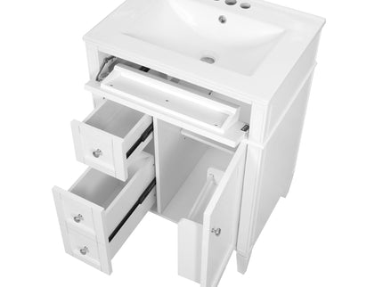 Bathroom Vanity With Top Sink, Storage Cabinet With 2 Drawers And Tip-Out Drawer
