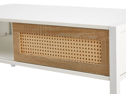 40.16" Rattan Coffee Table, Sliding Door For Storage, Metal Legs, Modern Table For Living Room