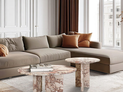 Elegant Coffee Duo Table Set