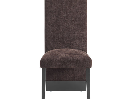 Stacey - Contemporary Dining Chair (Set of 2)