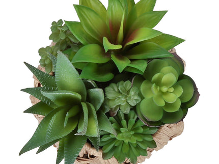 Artificial Succulent, Table Decor (Set of 2) - Green