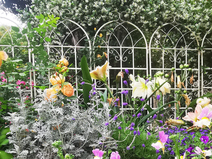 Metal Garden Rustproof Trellis For Climbing Plants Outdoor Flower Support