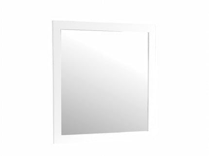 Burlington - Modern Design Transitional Wall Mirror