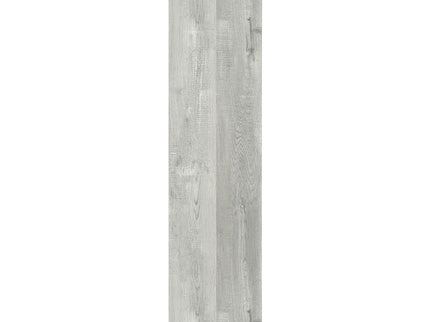 5 Tier For Office Bookshelf, Bookcase, Etagere, Contemporary & Modern