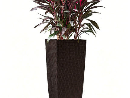 Indoor Outdoor Planter With Automatic Watering System