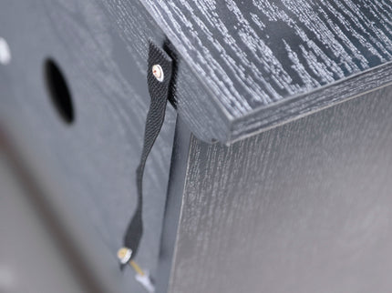 Storage Cabinet With 3 Mirrored Acrylic Doors, Adjustable Shelves