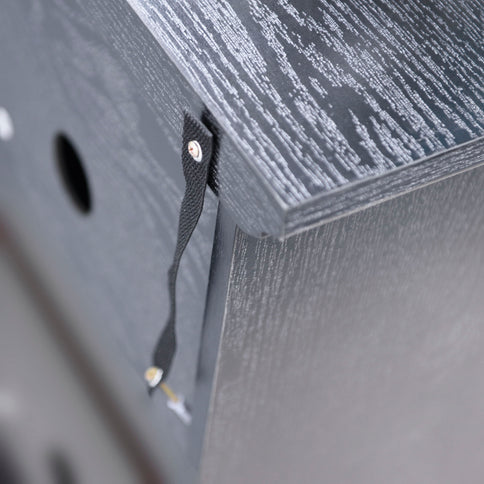 Storage Cabinet With 3 Mirrored Acrylic Doors, Adjustable Shelves