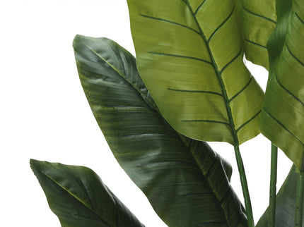 59" Tall, Artificial Plant, Strelitzia Tree, Indoor, Faux, Fake, Floor, Greenery, Potted, Real Touch, Decorative - Green / Black