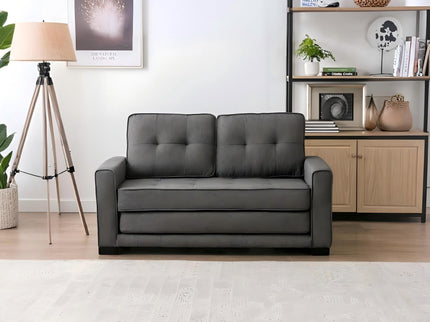 Upholstered Pull Out Sleeper Loveseat