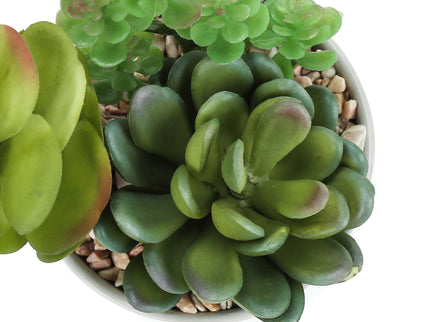 Artificial Succulent Plants (Set of 2)