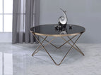 Black / Coffee Tables