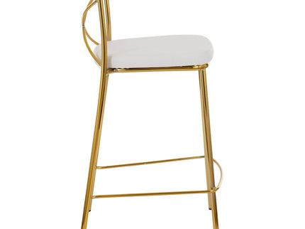 Modern Charlotte - Contemporary Fixed Height Counter Stool (Set of 2)