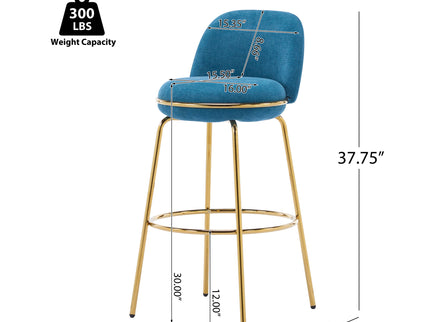 Rio Claro - Indoor Upholstered Barstool (Set of 2)