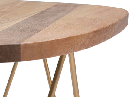 Patrice - Handcrafted Metal And Wood Accent Table