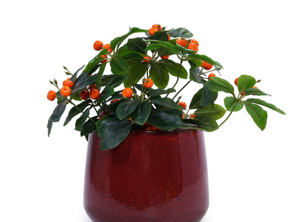 4 Pieces Planter Pot, Indoor Outdoor Flowerpot For Patio, Garden, Or Windowsills - Bean Paste Red