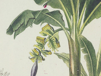 Tree Framed Print (Set of 2) - Multicolor