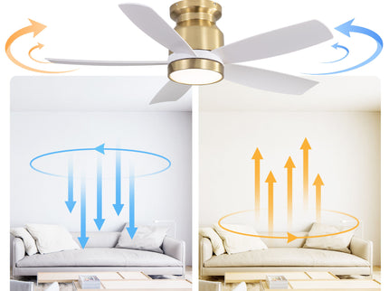 Flush Mount Ceiling Fan With LED Light 22W And Remote Control Blades / Body, DC Motor