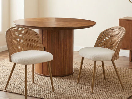 Bohemian Style Double Seater Dining Chair