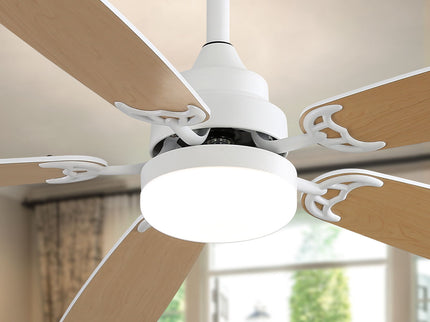 52" Ceiling Fan With LED Light, 6 Speed Remote Control, Reversible DC Motor