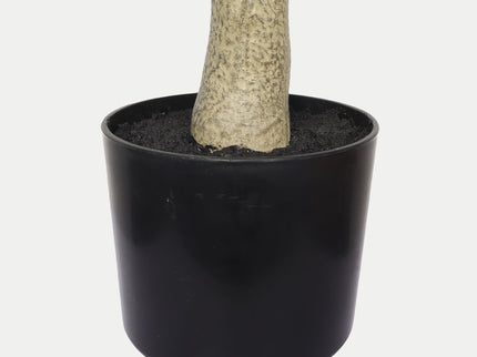 5Ft Realistic Artificial Eucalyptus Tree In Pot With Lush Leaves For Home Office Decor - Green Leaves