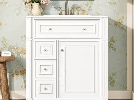 Bathroom Vanity Cabinet With Sink, Soft Close Doors With Door Organizer