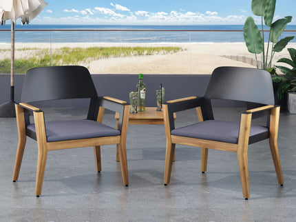Soho - Transitional Style Outdoor Club Chair (Set of 2) With Cushions - Teak