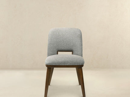 Blake - Modern Dining Chair (Set of 2)
