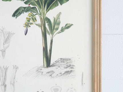 Tree Framed Print (Set of 2) - Multicolor