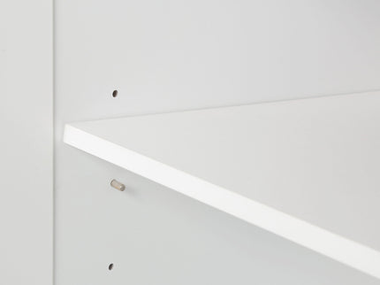 Bathroom Vanity With 2 Doors, 2 Drawers, Adjustable Shelf, Hidden Slides & Soft Close Hinges