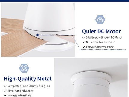 Flush Mount Ceiling Fan With Light