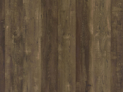 Harlie - 2 Door Wine Cabinet - Oak