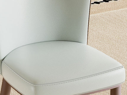 Dining Chair With Carbon Steel Legs, Comfortable Seating, (Set of 2) - White
