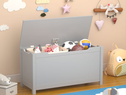 Toy Box Storage With Safety Hinged Lid