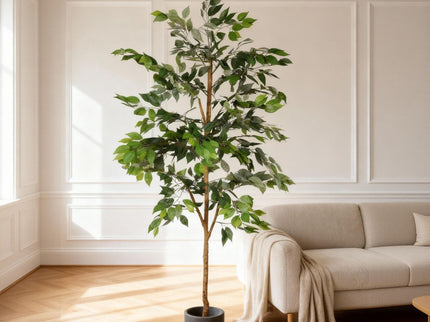 6Ft Artificial Ficus Tree With Natural Trunk In Pot For Indoor Home Office Decor - Green Leaves