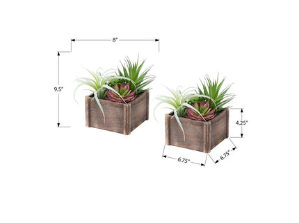 Artificial Succulent, Table Decor (Set of 2) - Green / Dark Brown
