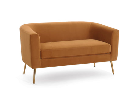 Modern Elegant Design Style Loveseat