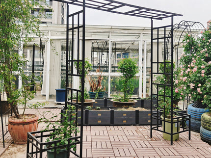 Garden Arch With Adjustable & Climbing Plants Support - Black