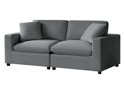 Caylie - Modular 2 Piece Sofa - Charcoal