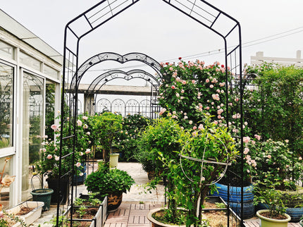 Garden Arch, Climbing Plants Support Outdoor - Black